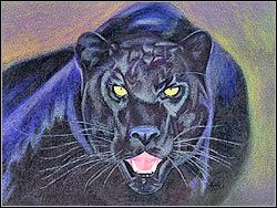 PUMA - Wrogowie | Przeciwnicy w Tomb Raider Anniversary - Tomb Raider: Anniversary - poradnik do gry