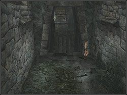 Zsuń się teraz po dachu stojącego pod tobą domu na dół - Poziom 03. Vilcabamba | Sekrety w Tomb Raider Anniversary - Tomb Raider: Anniversary - poradnik do gry