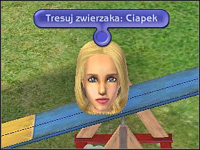 Musisz się teraz w cierpliwość, gdyż początkowe próby zakończą się oczywiście niepowodzeniem (#1) - Rozdział 3 - Psia randka (2) | Psie zawody - The Sims: Historie ze świata zwierząt - poradnik do gry