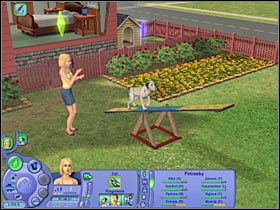 4 - Rozdział 3 - Psia randka (2) | Psie zawody - The Sims: Historie ze świata zwierząt - poradnik do gry