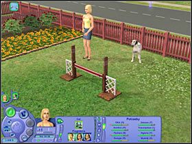 Także i tu będziesz mógł zanotować pewne postępy - Rozdział 5 - Trening | Psie zawody | The Sims Historie ze świata zwierząt - The Sims: Historie ze świata zwierząt - poradnik do gry