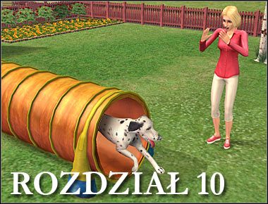 Wyjątkowo rozdział ten rozpocznie się bardzo wczesnym porankiem - Rozdział 10 - Ostatnia okazja do treningu (1) | Psie zawody - The Sims: Historie ze świata zwierząt - poradnik do gry
