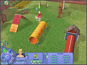 Tradycyjnie już proces nauczania Ciapka nowej sztuczki (przejścia przez tunel) będzie bardzo żmudny - Rozdział 10 - Ostatnia okazja do treningu (1) | Psie zawody - The Sims: Historie ze świata zwierząt - poradnik do gry