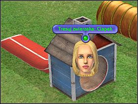 1 - Rozdział 10 - Ostatnia okazja do treningu (2) | Psie zawody - The Sims: Historie ze świata zwierząt - poradnik do gry
