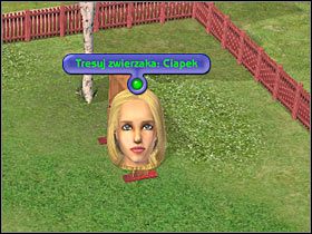 3 - Rozdział 10 - Ostatnia okazja do treningu (2) | Psie zawody - The Sims: Historie ze świata zwierząt - poradnik do gry