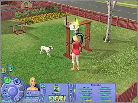 Nie zaskoczę cię chyba mówiąc, że proces nauki będzie przebiegał stopniowo - Rozdział 10 - Ostatnia okazja do treningu (2) | Psie zawody - The Sims: Historie ze świata zwierząt - poradnik do gry