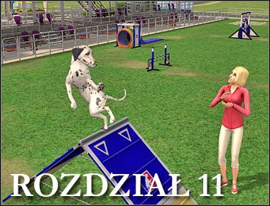 Rozdział ten powinien oficjalnie rozpocząć się w okolicach godziny dziesiątej nad ranem - Rozdział 11 - Finał zawodów (1) | Psie zawody - The Sims: Historie ze świata zwierząt - poradnik do gry