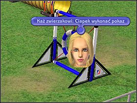 2 - Rozdział 11 - Finał zawodów (2) | Psie zawody - The Sims: Historie ze świata zwierząt - poradnik do gry