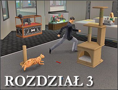 Tradycyjnie już rozdział ten rozpocznie się dopiero wtedy, gdy główny bohater wróci z pracy - Rozdział 3 - Gwidonie, poznaj Pusię (1) | Nocna maskarada - The Sims: Historie ze świata zwierząt - poradnik do gry
