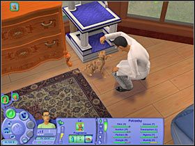 Cel: Nauczyć Pusię turlania się (250 punktów aspiracji) - Rozdział 5 - Najgorsze zdjęcia świata (1) | Nocna maskarada - The Sims: Historie ze świata zwierząt - poradnik do gry