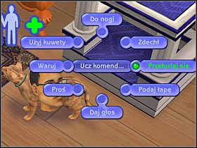 Ostrzegam, gdyż proces nauczania jest dość żmudny - Rozdział 5 - Najgorsze zdjęcia świata (1) | Nocna maskarada - The Sims: Historie ze świata zwierząt - poradnik do gry