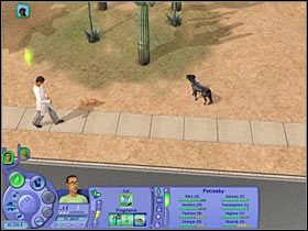 5 - Rozdział 5 - Najgorsze zdjęcia świata (1) | Nocna maskarada - The Sims: Historie ze świata zwierząt - poradnik do gry