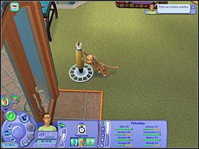 Cel: Przygotuj sałatkę (250 punktów aspiracji) - Rozdział 6 - Tradycja (3) | Nocna maskarada - The Sims: Historie ze świata zwierząt - poradnik do gry