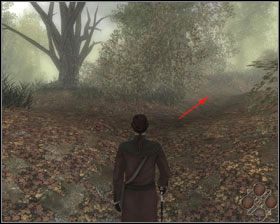 4 - [12] Las | Dead Reefs - Dead Reefs - poradnik do gry