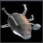 CEV Etap pierwszy - Moduły wspierające | Instalacje | Space Station Sim - Space Station Sim - poradnik do gry