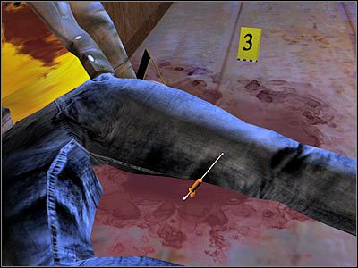 Teraz będziesz musiał kliknąć na fragmencie lady - The Peacemaker (2) | Śledztwo 5 | CSI Kryminalne Zagadki Las Vegas - CSI: Kryminalne Zagadki Las Vegas: Niezbite dowody - poradnik do gry