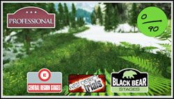 Professional League - Modified | Mistrzostwa | Sega Rally - Sega Rally - poradnik do gry