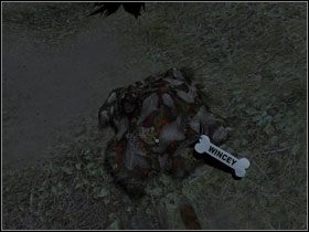 Teraz zapalaj lampę i udaj do lasu (wejście obok placu zabaw) - Opis przejścia cz.9 | Barrow Hill Klątwa Kamiennego Kręgu - Barrow Hill: Klątwa Kamiennego Kręgu - poradnik do gry