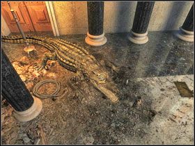 Po przeciwnej stronie biblioteki siedzi niewolnik - porozmawiaj z nim o wszystkim - Library | Alexandria, cz. 1 | Kleopatra Droga do tronu - Kleopatra: Droga do tronu - poradnik do gry