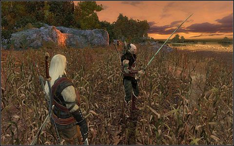 Faza 14 - Zadania główne (3) | Rozdział 4 | Solucja Wiedźmin - Wiedźmin - poradnik