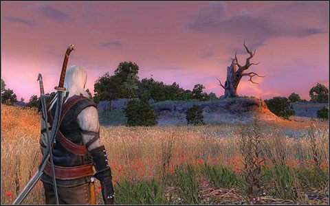 Faza 19 - Zadania główne (3) | Rozdział 4 | Solucja Wiedźmin - Wiedźmin - poradnik