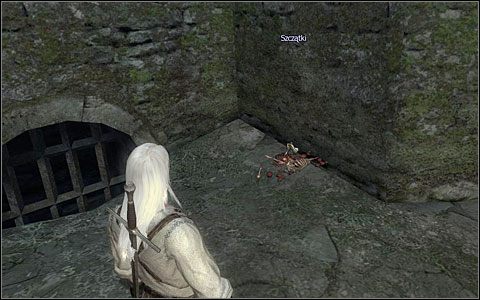 Idąc do wejścia do twierdzy (M1 - Dziedziniec Kaer Morhen (2) | Prolog | Solucja Wiedźmin - Wiedźmin - poradnik