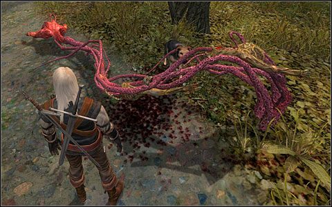 Faza 2 - Zadania poboczne (5) | Rozdział 2 | Solucja Wiedźmin - Wiedźmin - poradnik