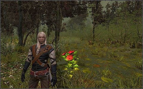 Faza 5 - Zadania poboczne (5) | Rozdział 2 | Solucja Wiedźmin - Wiedźmin - poradnik