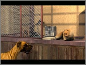 Gdy znajdziecie się przed wejściem do sklepu, trzeba będzie zachęcić psa by ten wszedł do środka - [Akt 4] August 25, 1940 Morning cz.2 | Zło, które żyje pod słońcem - Agatha Christie: Zło, które żyje pod słońcem - poradnik do gry