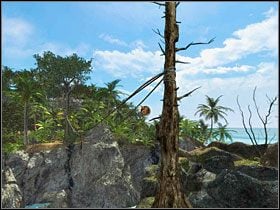 [14] - Cape Fear (alternatywna droga) | Kurs Wyspa Skarbów - Kurs: Wyspa Skarbów - poradnik do gry