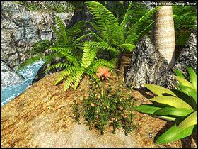 [19] - Flowery Coast cz.1 | Kurs Wyspa Skarbów - Kurs: Wyspa Skarbów - poradnik do gry