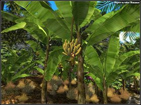 [20] - Flowery Coast cz.1 | Kurs Wyspa Skarbów - Kurs: Wyspa Skarbów - poradnik do gry