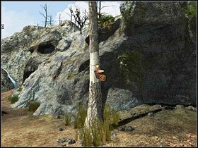 [38] - Gallows Gate, Skull Rock i Cape Fear cz.1 | Kurs Wyspa Skarbów - Kurs: Wyspa Skarbów - poradnik do gry