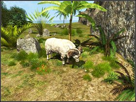 [62] - Snare Valley cz.1 (1) | Kurs Wyspa Skarbów - Kurs: Wyspa Skarbów - poradnik do gry