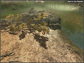 [88] - Snare Valley cz.1 (3) | Kurs Wyspa Skarbów - Kurs: Wyspa Skarbów - poradnik do gry