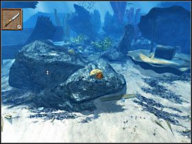 [161] - Wreck | Kurs Wyspa Skarbów - Kurs: Wyspa Skarbów - poradnik do gry