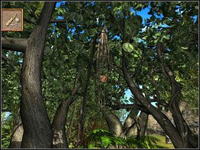 [183] - Snare Valley cz.2 | Kurs Wyspa Skarbów - Kurs: Wyspa Skarbów - poradnik do gry