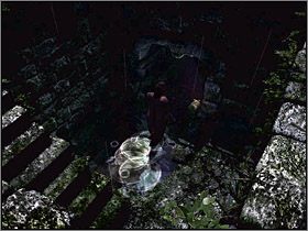 6 - Tereny wokół posiadłości (2) | Edward Carnby | Alone in the Dark Koszmar powraca - Alone in the Dark: Koszmar powraca - poradnik do gry