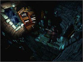 Po krótkim marszu dojdziesz do drabiny prowadzącej do okna wieżyczki - Posiadłość Mortonów - Biblioteka (2) | Edward Carnby | Alone in the Dark - Alone in the Dark: Koszmar powraca - poradnik do gry