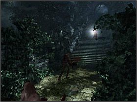 3 - Tereny zewnętrzne Wyspy Cieni (1) | Edward Carnby | Alone in the Dark - Alone in the Dark: Koszmar powraca - poradnik do gry