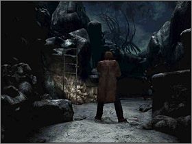 Przejdź przez jaskinię i podążaj przed siebie - Tereny zewnętrzne Wyspy Cieni (2) | Edward Carnby | Alone in the Dark - Alone in the Dark: Koszmar powraca - poradnik do gry