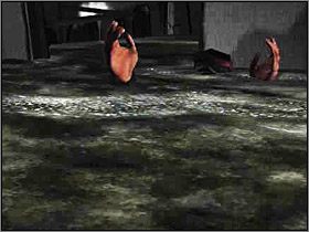 2 - Tereny zewnętrzne Wyspy Cieni (3) | Edward Carnby | Alone in the Dark - Alone in the Dark: Koszmar powraca - poradnik do gry