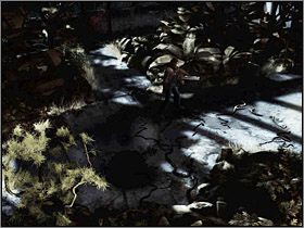 Znajdujesz się w szklarni - Jaskinie Abkanis (1) | Edward Carnby | Alone in the Dark Koszmar powraca - Alone in the Dark: Koszmar powraca - poradnik do gry