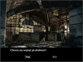 Rozejrzyj się wokoło i przejdź do pomieszczenia z drabiną prowadzącą do góry - Posiadłość Mortonów (9) | Aline Cedrac | Alone in the Dark Koszmar powraca - Alone in the Dark: Koszmar powraca - poradnik do gry