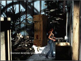 Znajdziesz się w szklarni - Posiadłość Mortonów (9) | Aline Cedrac | Alone in the Dark Koszmar powraca - Alone in the Dark: Koszmar powraca - poradnik do gry