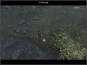 3 - Dzień piąty (cz.2) | Reprobates U Bram Śmierci - Reprobates: U Bram Śmierci - poradnik do gry