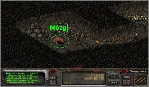 Poprosi nas on o przyniesienie Chrupek serowych - Gecko (5) | Opis przejścia | Fallout 2 - Fallout 2 - poradnik do gry