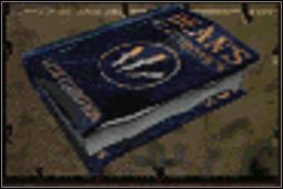 Młody elektronik - Książki | Przedmioty | Fallout 2 - Fallout 2 - poradnik do gry