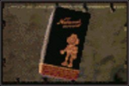 Instrukcja - Książki | Przedmioty | Fallout 2 - Fallout 2 - poradnik do gry