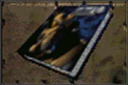 Poradnik do gry Fallout 2 - Książki | Przedmioty | Fallout 2 - Fallout 2 - poradnik do gry